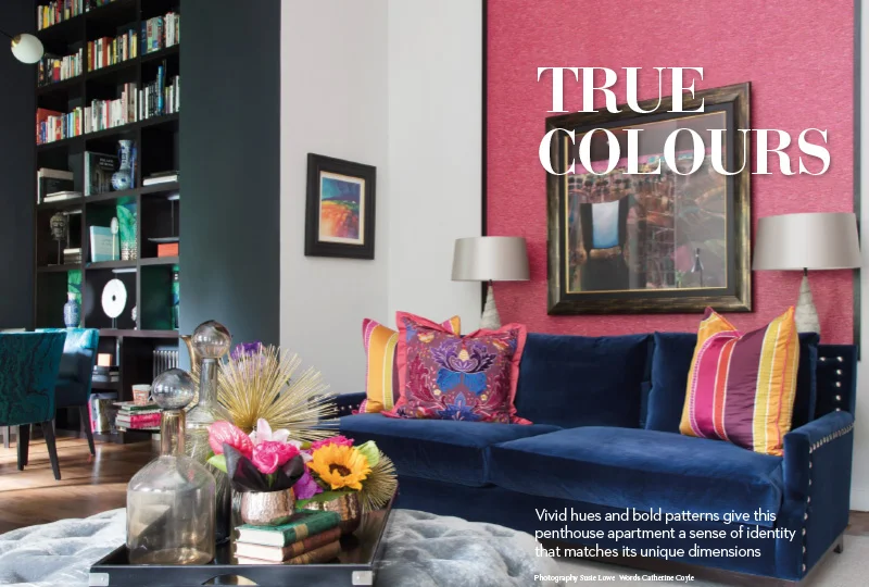 Vibrant living room with a navy velvet sofa, colorful patterned cushions, a bold fuchsia wall, and dark bookshelf.