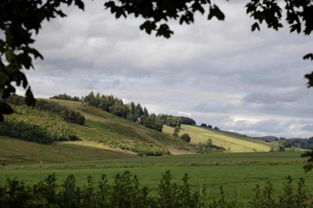 Lush green rolling hills and forests under a cloudy sky, with sunlit slopes and a field framed by blurred foreground leaves.