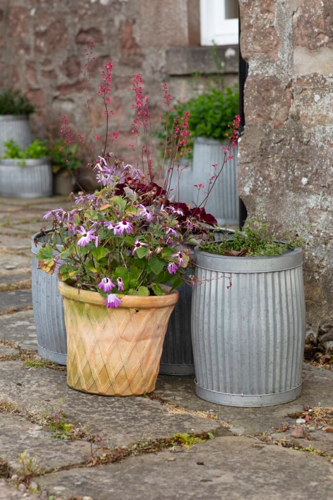 Terracotta pot with purple and pink flowers, flanked by two corrugated metal planters, on a stone patio against a stone wall.