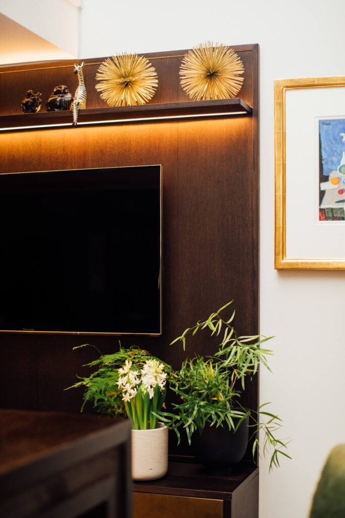 Dark wood wall with mounted TV, illuminated shelf holding modern decor, and lush potted plants in a contemporary interior.