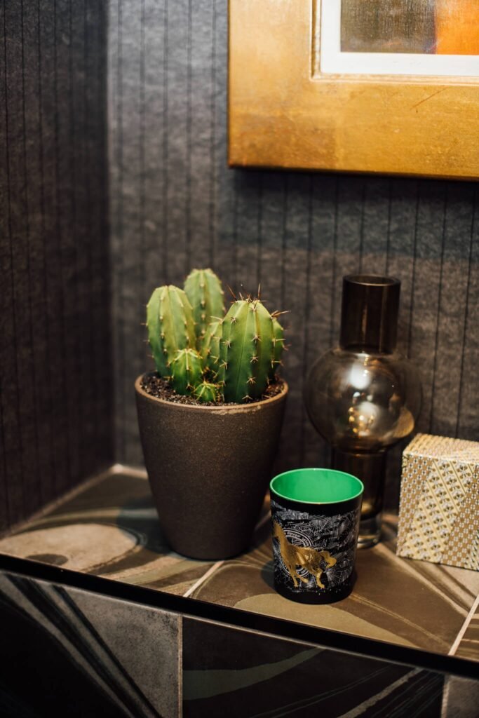 Green potted cactus, dark vase, gold deer cup, and patterned box on a marbled shelf with a gold framed picture.